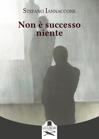 Non è successo niente - Stefano Iannaccone - Libro Les Flâneurs Edizioni 2024, Montparnasse | Libraccio.it