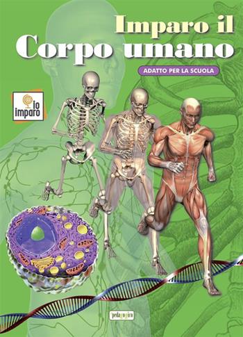 Imparo il corpo umano. Ediz. illustrata  - Libro ilPedagogico 2022, Libri didattici | Libraccio.it