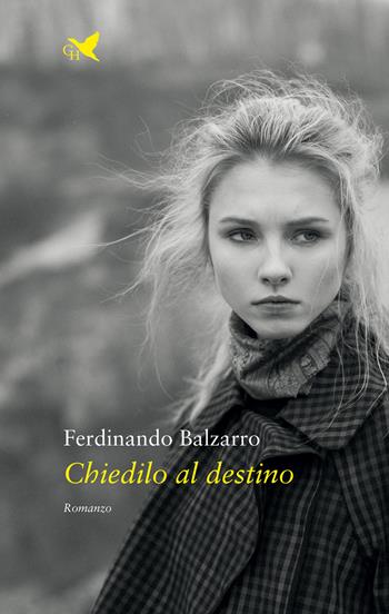 Chiedilo al destino - Ferdinando Balzarro - Libro Giovane Holden Edizioni 2023, Mysterious Park | Libraccio.it