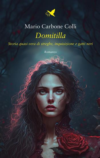 Domitilla. Storia quasi vera di streghe, Inquisizione e gatti neri - Mario Carbone Colli - Libro Giovane Holden Edizioni 2023, Camelot | Libraccio.it