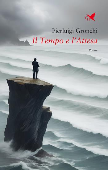 Il tempo e l'attesa - Pierluigi Gronchi - Libro Giovane Holden Edizioni 2023, Versi di segale | Libraccio.it