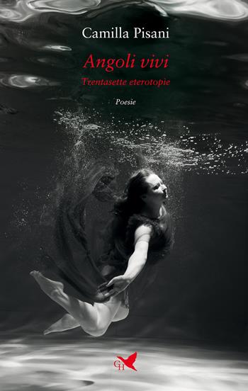 Angoli vivi. Trentasette eterotopìe - Camilla Pisani - Libro Giovane Holden Edizioni 2024, Versi di segale | Libraccio.it