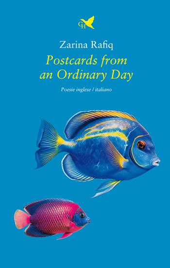 Postcards from an ordinary day - Zarina Rafiq - Libro Giovane Holden Edizioni 2024, Versi di segale | Libraccio.it