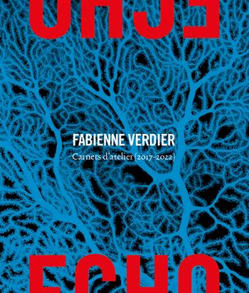 Echo. Carnets d'atelier (2017-2022). Ediz. a colori - Fabienne Verdier - Libro 5 Continents Editions 2023, Arte contemporanea | Libraccio.it