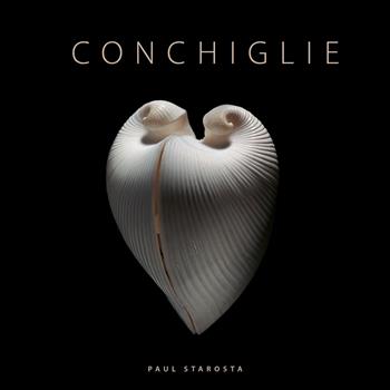 Conchiglie. Ediz. a colori - Paul Starosta, Jacques Senders - Libro 5 Continents Editions 2025, Fotografia | Libraccio.it