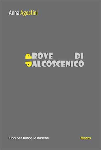Prove di palcoscenico - Anna Agostini - Libro Robin Edizioni 2024, Libri per tutte le tasche | Libraccio.it