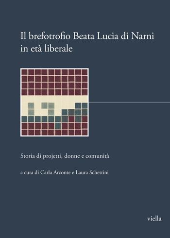 Il brefotrofio Beata Lucia di Narni in età liberale. Storia di projetti, donne e comunità - Laura Schettini - Libro Viella 2023, I libri di Biblink | Libraccio.it
