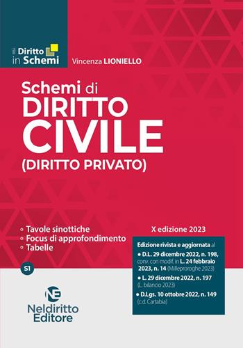 Schemi di diritto civile (diritto privato) - Vincenza Lioniello - Libro Neldiritto Editore 2023, Il diritto in schemi | Libraccio.it