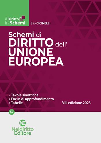 Schemi di diritto dell'Unione Europea - Elio Cicinelli - Libro Neldiritto Editore 2023 | Libraccio.it