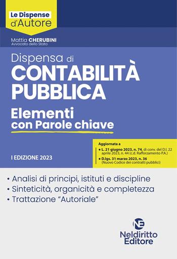 Contabilità degli enti locali. Elementi con parole chiave - Mattia Cherubini - Libro Neldiritto Editore 2023, Dispense d'autore | Libraccio.it