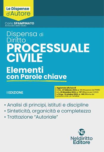 Dispensa di diritto processuale civile. Elementi con parole chiave - Carlo Spampinato - Libro Neldiritto Editore 2023, Dispense d'autore | Libraccio.it