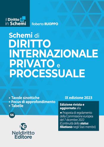 Schemi di diritto internazionale privato e processuale  - Libro Neldiritto Editore 2023 | Libraccio.it