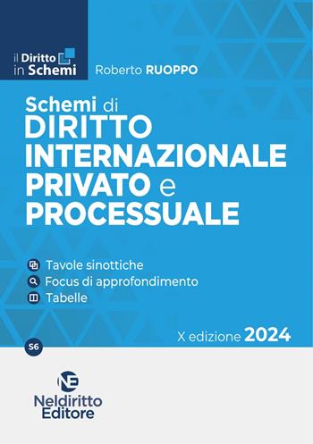 Schemi di diritto internazionale provato e processuale - Roberto Ruoppo - Libro Neldiritto Editore 2024, Il diritto in schemi | Libraccio.it