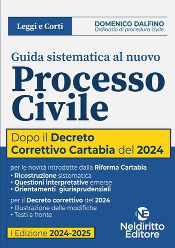 Guida sistematica al nuovo processo civile aggiornato al Decreto Correttivo Cartabia D.Lgs. 31 ottobre 2024, n. 164 - Domenico Dalfino - Libro Neldiritto Editore 2024 | Libraccio.it