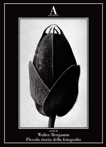 Piccola storia della fotografia - Walter Benjamin - Libro Abscondita 2024, Album | Libraccio.it
