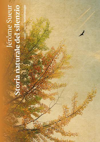 Storia naturale del silenzio - Jérôme Sueur - Libro Nottetempo 2024, Saggi. Terra | Libraccio.it