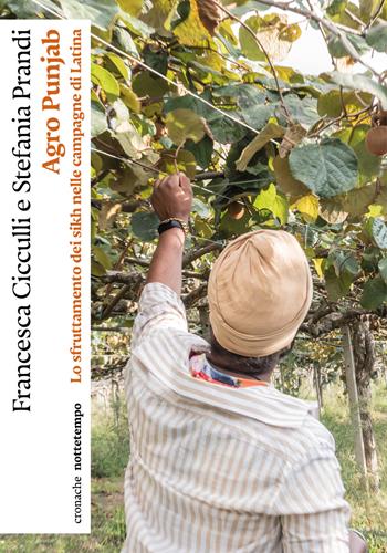 Agro Punjab. Lo sfruttamento dei sikh nelle campagne di Latina - Francesca Cicculli, Stefania Prandi - Libro Nottetempo 2024, Cronache | Libraccio.it