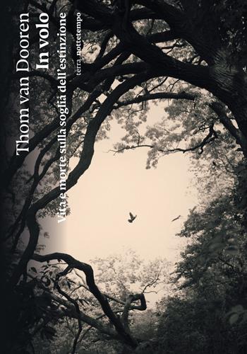 In volo. Vita e morte sulla soglia dell’estinzione - Thom Van Dooren - Libro Nottetempo 2025, Saggi. Terra | Libraccio.it