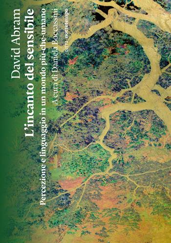 L'incanto del sensibile. Percezione e linguaggio in un mondo più-che-umano - David Abram - Libro Nottetempo 2026, Saggi. Terra | Libraccio.it