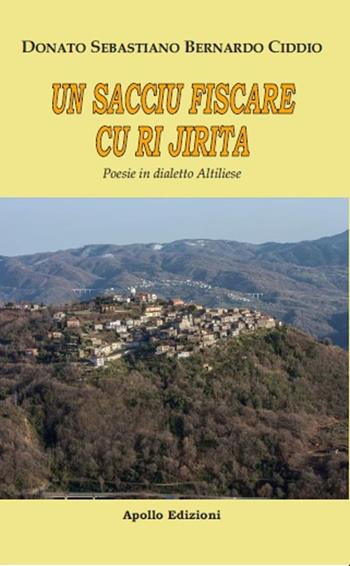 Un sacciu fiscari cu ri jirita. Non so fischiare con le dita. Poesie in dialetto altiliese - Donato Sebastiano Bernardo Ciddio - Libro Apollo Edizioni 2022, Il tempo | Libraccio.it