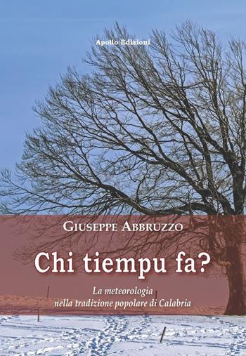 Chi tiempu fa? La meteorologia nella tradizione popolare di Calabria - Giuseppe Abbruzzo - Libro Apollo Edizioni 2023, Il tempo | Libraccio.it