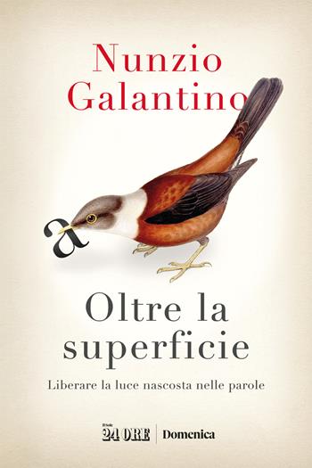 Oltre la superficie. Liberare la luce nascosta nelle parole - Nunzio Galantino - Libro Il Sole 24 Ore 2023 | Libraccio.it