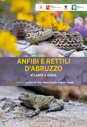 Anfibi e rettili d'Abruzzo. Atlante e guida  - Libro Ianieri 2024, Naturaviglia | Libraccio.it