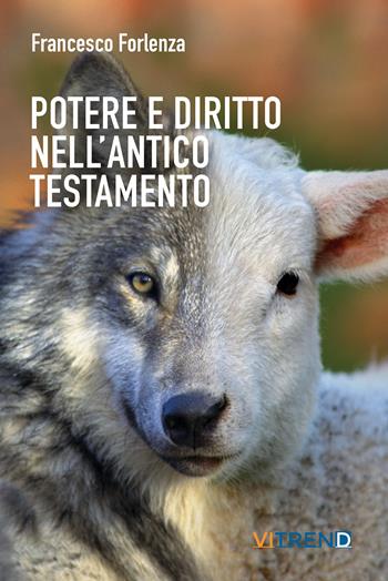 Potere e diritto nell'Antico Testamento. Un itinerario tra la storia e gli istituti del popolo ebraico - Francesco Forlenza - Libro VITREND 2023 | Libraccio.it