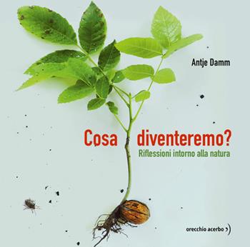 Cosa diventeremo? Riflessioni intorno alla natura - Antje Damm - Libro Orecchio Acerbo 2026 | Libraccio.it