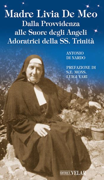 Madre Livia De Meo. Dalla Provvidenza alle Suore degli Angeli Adoratrici della SS. Trinità. Ediz. illustrata - Antonio Di Nardo - Libro Velar 2024, Blu. Messaggeri d'amore | Libraccio.it