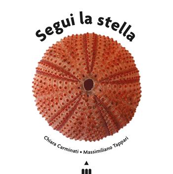 Segui la stella. Ediz. a colori - Chiara Carminati - Libro Lapis 2025 | Libraccio.it