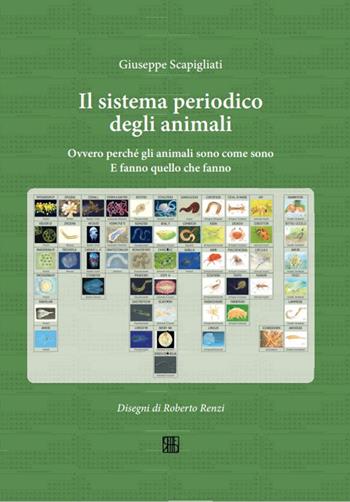 Il sistema periodico degli animali. Ovvero perché gli animali sono come sono. E fanno quello che fanno - Giuseppe Scapigliati - Libro Sette città 2022, Fuori collana | Libraccio.it