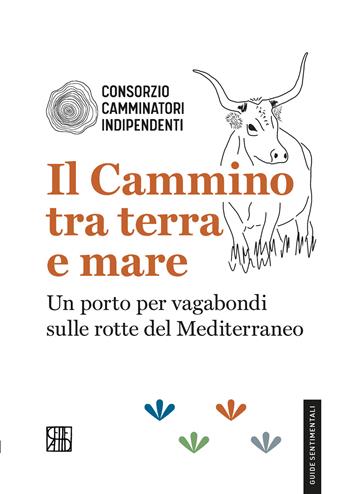 Il cammino tra terra e mare. Un porto per vagabondi sulle rotte del Mediterraneo  - Libro Sette città 2025, Guide sentimentali | Libraccio.it