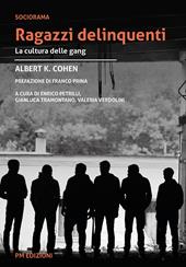 Ragazzi delinquenti. La cultura delle gang