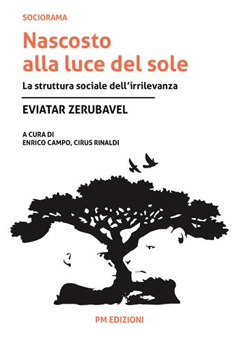 Nascosto alla luce del sole. La struttura sociale dell’irrilevanza - Eviatar Zerubavel - Libro PM edizioni 2024 | Libraccio.it