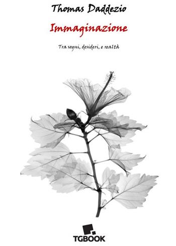 Immaginazione. Tra sogni, desideri e realtà - Thomas Daddezio - Libro Tg Book 2025 | Libraccio.it