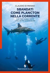Sbandati come plancton nella corrente. Che fine hanno fatto i «figli di una Shamandura»