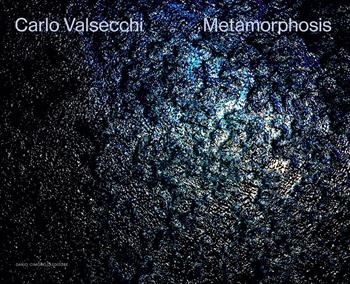 Carlo Valsecchi. Metamorphosis. Ediz. bilingue - Francesco Stocchi - Libro Dario Cimorelli Editore 2023 | Libraccio.it