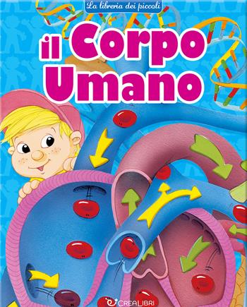 Il corpo umano. Ediz. a colori  - Libro Crealibri 2024, La libreria dei piccoli | Libraccio.it