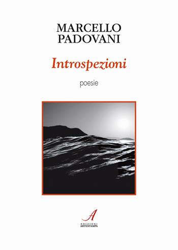 Introspezioni - Marcello Padovani - Libro Edizioni Artestampa 2023 | Libraccio.it