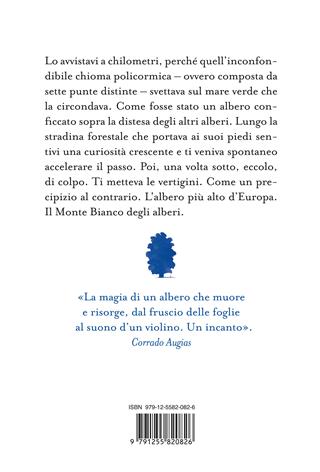 Il canto del Principe. Storia di un albero - Marco Albino Ferrari - Libro Ponte alle Grazie 2024, Fuori collana | Libraccio.it
