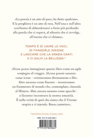 Nel tempo di Dio. Poesia e meditazione per le Ore del giorno - Paolo Alliata - Libro Ponte alle Grazie 2025, Fuori collana | Libraccio.it
