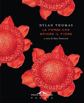 La forza che spinge il fiore - Dylan Thomas - Libro Ponte alle Grazie 2025, Poesia | Libraccio.it