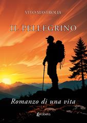 Il pellegrino. Romanzo di una vita