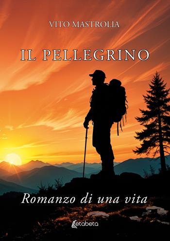 Il pellegrino. Romanzo di una vita - Vito Mastrolia - Libro EBS Print 2024 | Libraccio.it