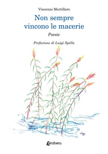 Non sempre vincono le macerie - Vincenzo Mortillaro - Libro EBS Print 2024 | Libraccio.it