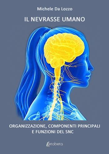 Il nevrasse umano. Organizzazione, componenti principali e funzioni del SNC - Michele Da Lozzo - Libro EBS Print 2024 | Libraccio.it