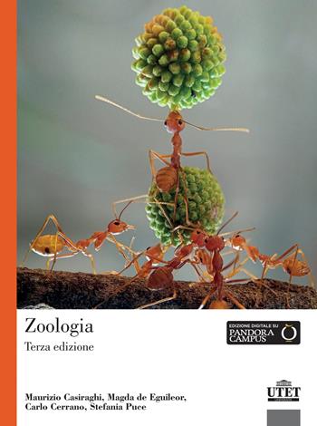 Zoologia - Maurizio Casiraghi, Magda De Eguileor, Carlo Cerrano - Libro UTET Università 2026 | Libraccio.it