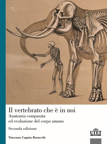 Il vertebrato che è in noi. Anatomia comparata ed evoluzione del corpo umano - Vincenzo Caputo Barucchi - Libro UTET Università 2026 | Libraccio.it
