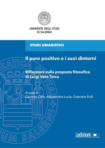 Il puro positivo e i suoi dintorni. Riflessioni sulla proposta filosofica di Luigi Vero Tarca  - Libro Ledizioni 2024 | Libraccio.it